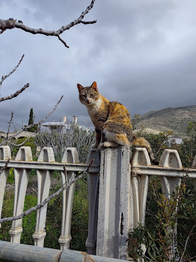 Λόρα