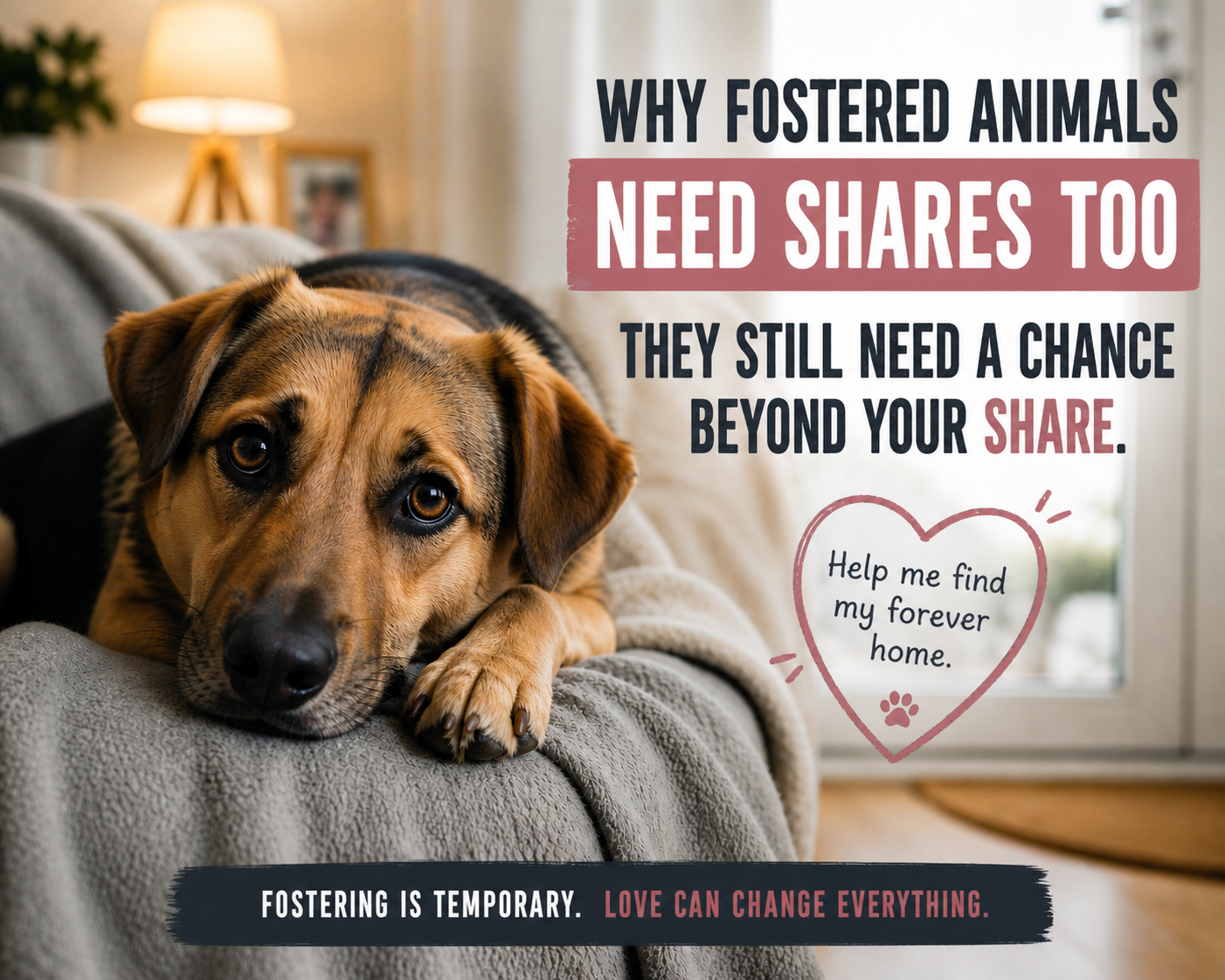 Does the effort stop when an animal finds a foster home?
