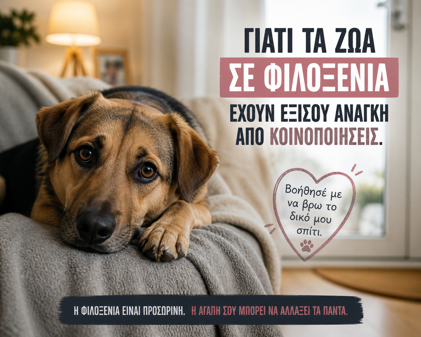 Όταν ένα ζώο βρίσκει φιλοξενία, σταματάει η προσπάθεια;